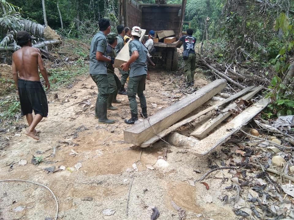KPH Sengayam mengamankan sejumlah kayu ilegal saat patroli pengamanan hutan.