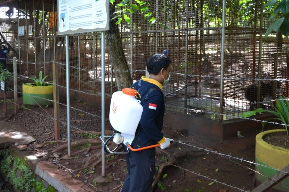 Penyemprotan kandang habituasi Tahura antisipasi timbulnya virus