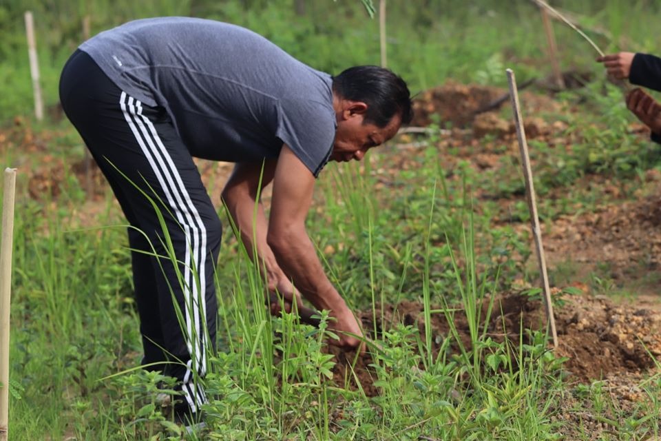 Kadishut Kalsel, Hanif Faisol Nurofiq bersama seluruh personel TKPH melakukan penyulaman di kawasan Kantor Gubernur Kalsel di Banjarbaru